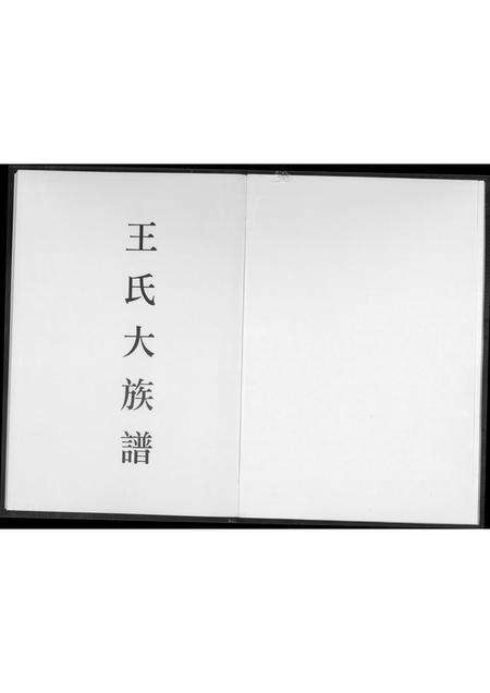 福建王氏族谱-王氏大族谱.pdf电子版预览图1