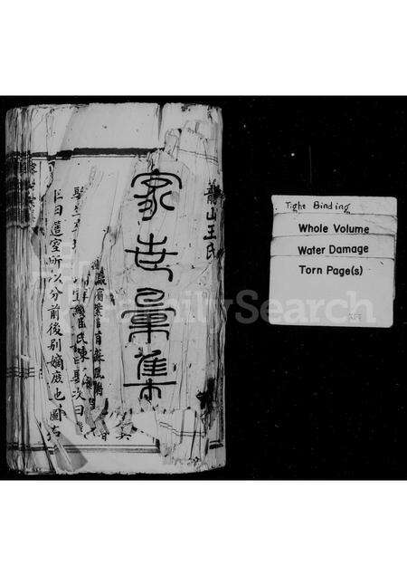 福建王氏族谱-王氏族谱.pdf电子版预览图1