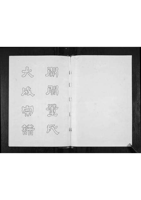 福建董氏族谱-董氏董水宗谱[不分卷].pdf电子版预览图1