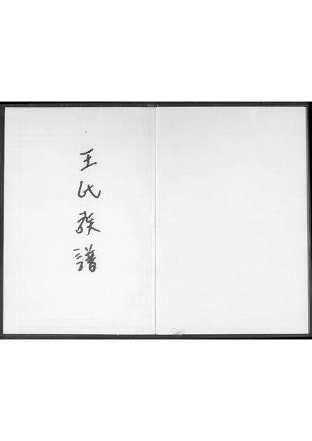 福建王氏族谱-王氏族谱. 王权公派下.pdf电子版预览图1