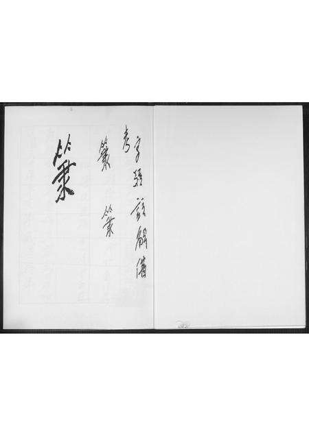 福建王氏族谱-王氏族谱.禄盛公支系.pdf电子版预览图1