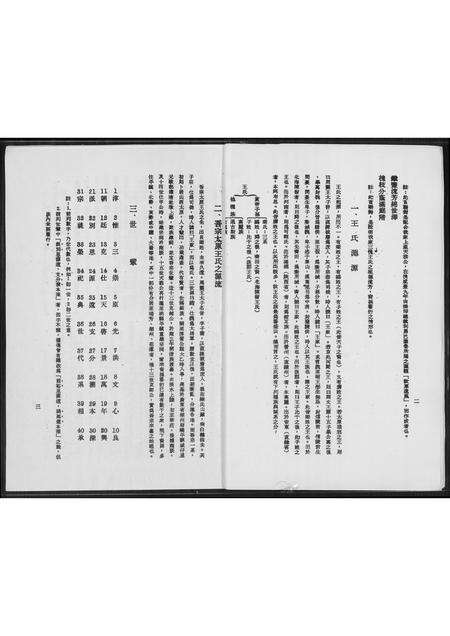 福建王氏族谱-王氏族谱克师公派下.pdf电子版预览图1