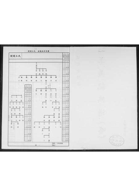 福建王氏族谱-王美记族谱.开闽金陵派渡台始祖尊炳公世系履历.pdf电子版预览图2
