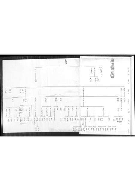 福建王氏族谱-王鼎廷家谱.pdf电子版预览图2