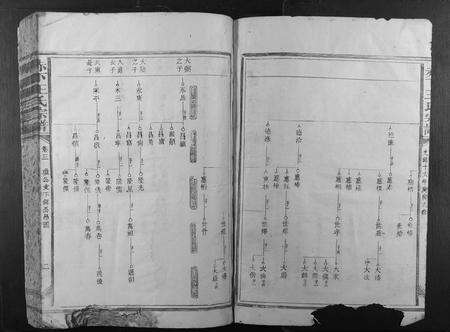 福建王氏族谱-赤下王氏宗谱.pdf电子版预览图2