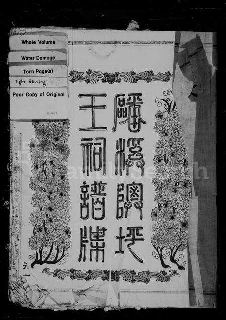 福建王氏族谱-磻溪隩坪王祠谱牒.pdf电子版预览图2