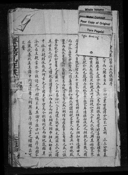 福建王氏族谱-赛江芳山王氏宗谱.pdf电子版预览图2