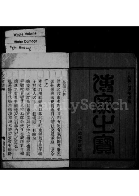 福建王氏族谱-王氏宗谱.pdf电子版预览图2