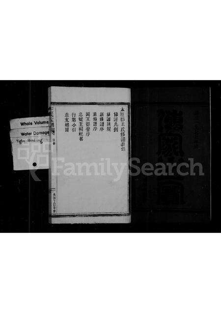 福建王氏族谱-王氏宗谱.pdf电子版预览图2