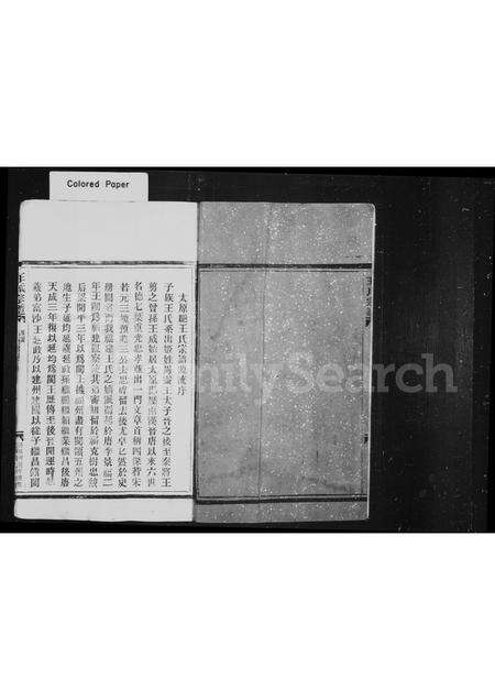 福建王氏族谱-王氏宗谱.pdf电子版预览图2