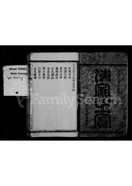 福建王氏族谱-王氏宗谱.pdf电子版预览图2