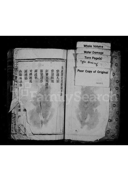 福建王氏族谱-王氏宗谱.pdf电子版预览图2