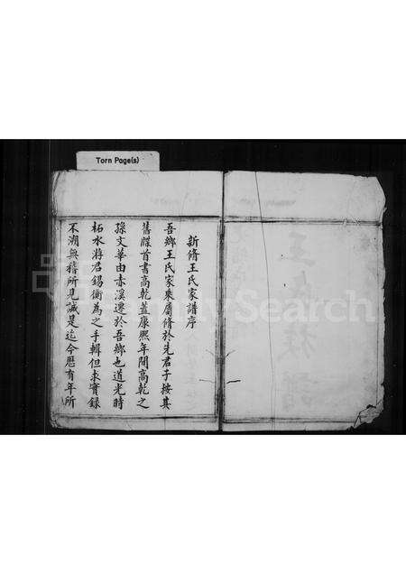 福建王氏族谱-王氏族谱.pdf电子版预览图2