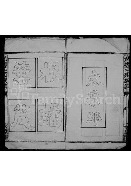 福建王氏族谱-尤墺王氏族谱.pdf电子版预览图2