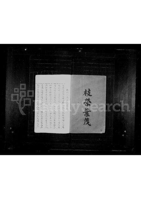 福建王氏族谱-王氏家乘.pdf电子版预览图2