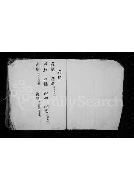 福建王氏族谱-草创三洲王氏四甲房谱.pdf电子版预览图2