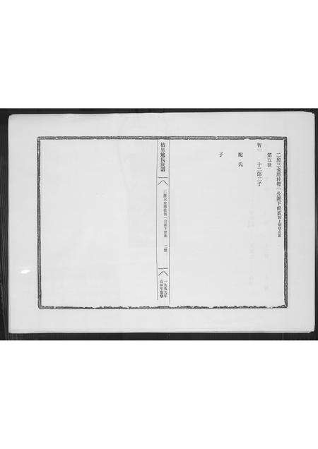 福建未知族谱-桔里姚氏族谱.pdf电子版预览图2