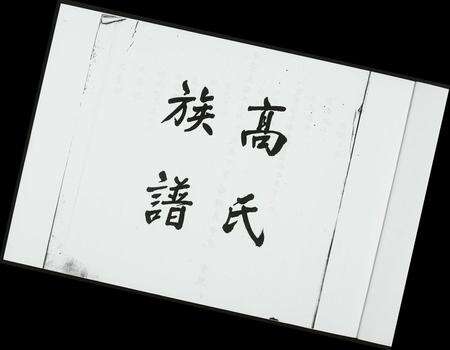 福建未知族谱-渤海族谱.pdf电子版预览图2