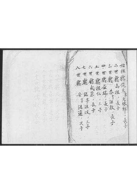 福建魏氏族谱-魏氏族谱 [不分卷].pdf电子版预览图2