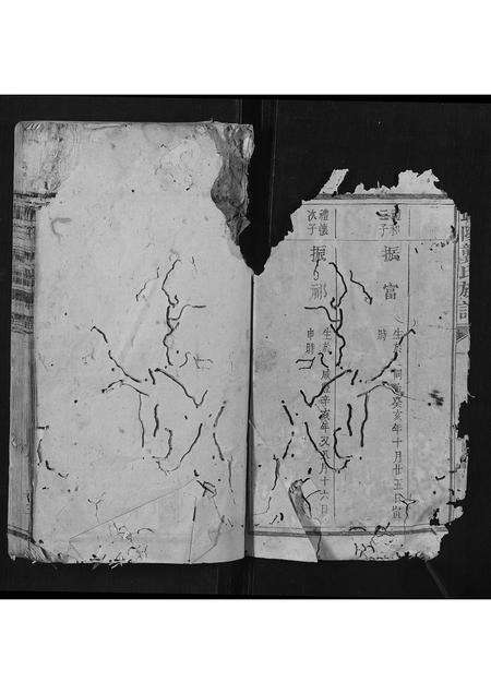 福建伍氏族谱-伍氏房谱[2卷].pdf电子版预览图2