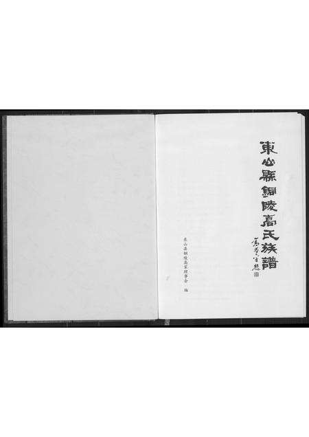 福建高氏族谱-东山县铜陵高氏族谱.pdf电子版预览图2