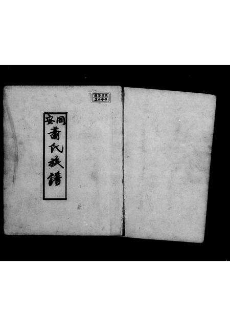 福建萧氏族谱-同安萧氏族谱.pdf电子版预览图2