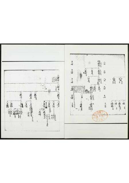 福建高氏族谱-武和高氏长房五支时笃派.pdf电子版预览图2