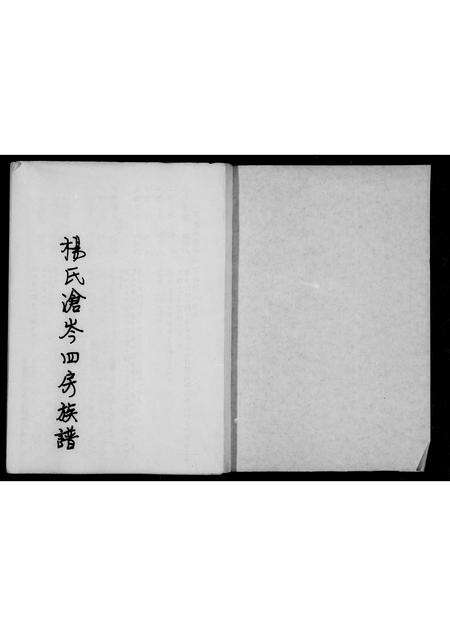 福建杨氏族谱-杨氏沧岑四房族谱.pdf电子版预览图2