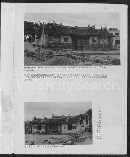 福建杨氏族谱-福建漳浦佛昙杨氏世隆衍系长,三房族谱.pdf电子版预览图2