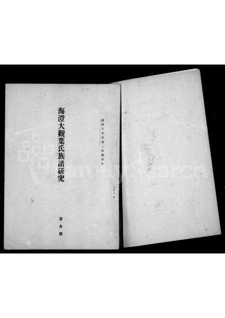 福建叶氏族谱-海澄大观叶氏族谱研究.pdf电子版预览图2