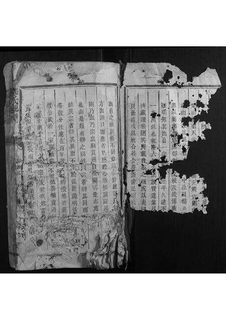 福建张氏族谱-张氏总谱.pdf电子版预览图2