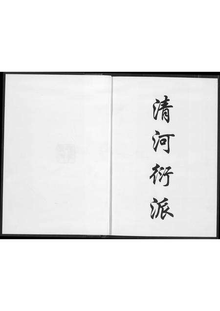 福建张氏族谱-东埔张氏族谱.海沧区东浮镇.pdf电子版预览图2