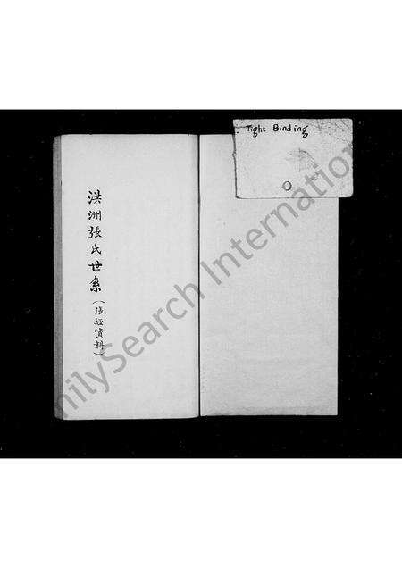 福建张氏族谱-洪洲张氏世系.pdf电子版预览图2