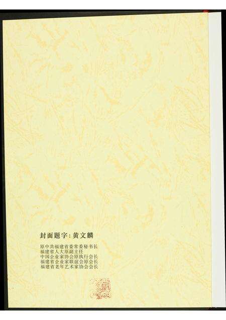 福建张氏族谱-清河大岞张氏联宗谱.pdf电子版预览图2