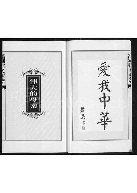 福建张氏族谱-鉴湖张氏家谱.pdf电子版预览图2