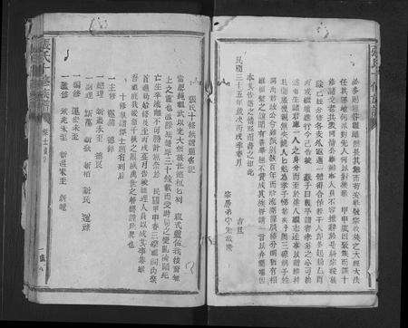 福建张氏族谱-张氏十修族谱 [不分卷].pdf电子版预览图2