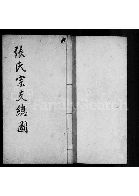 福建张氏族谱-[龙屿]张氏宗支总图.pdf电子版预览图2