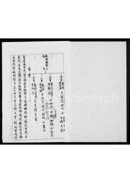 福建张氏族谱-[张氏]家谱录.pdf电子版预览图2