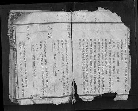 福建朱氏族谱-绥安朱氏族谱.pdf电子版预览图2