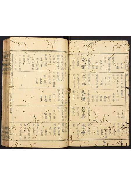 福建邹氏族谱-邹氏族谱.pdf电子版预览图2