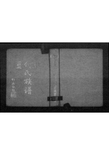 福建韩氏何氏蓝氏族谱-韩何蓝氏族谱.pdf电子版预览图2