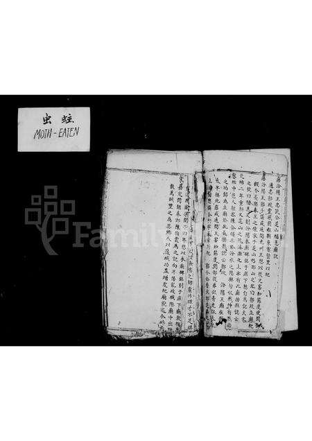 福建郭氏族谱-双阙郭氏族谱.pdf电子版预览图2