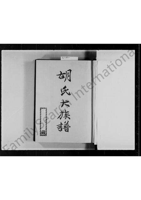 福建胡氏族谱-胡氏大族谱.pdf电子版预览图2