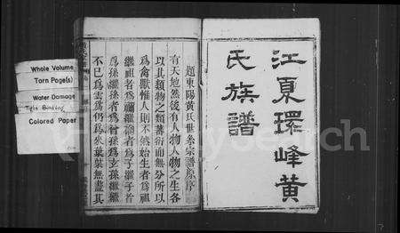 福建黄氏族谱-江夏环峰黄氏族谱.pdf电子版预览图2