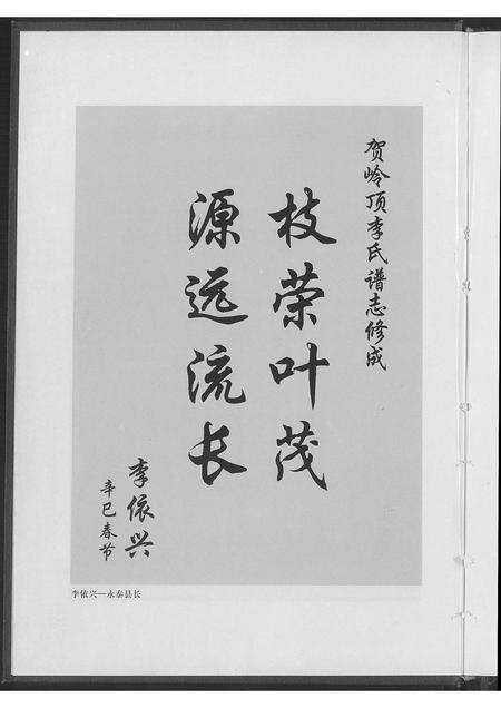 福建李氏族谱-陇西树德堂岭顶李氏谱志.pdf电子版预览图2