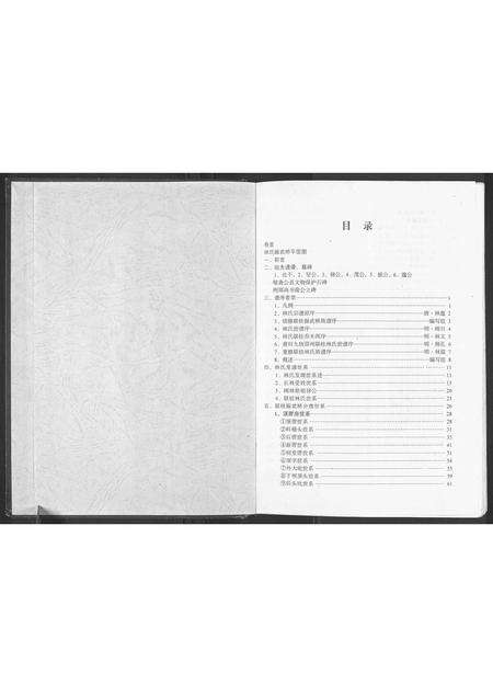 福建林氏族谱-联桂振武桥林氏族谱[1册].pdf电子版预览图2