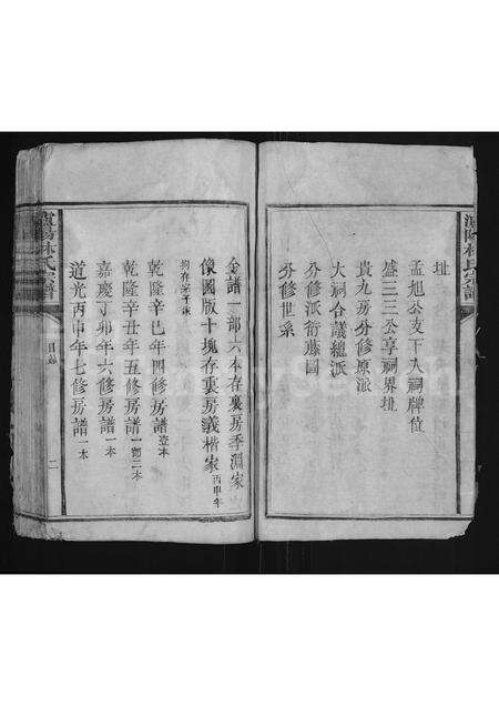 福建林氏族谱-泸阳林氏宗谱 [不分卷].pdf电子版预览图2