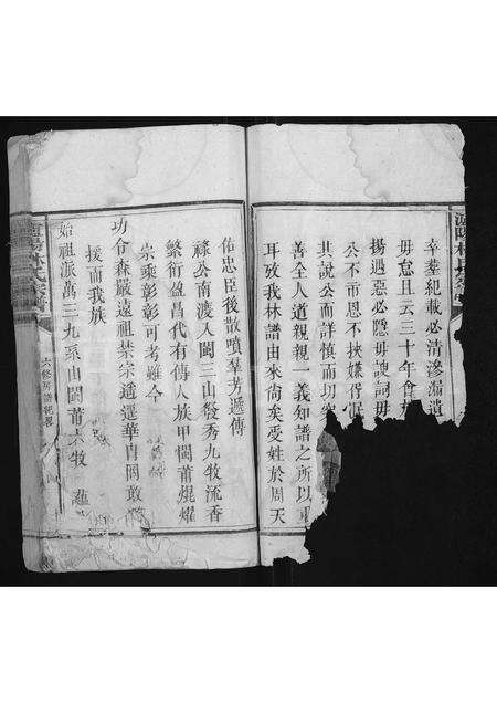 福建林氏族谱-泸阳林氏宗谱 [不分卷].pdf电子版预览图2