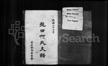 福建何氏族谱-龙田何氏支谱.pdf电子版预览图2