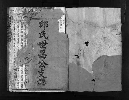 福建邱氏族谱-邱氏世昌公支谱 [3卷,首1卷].pdf电子版预览图2